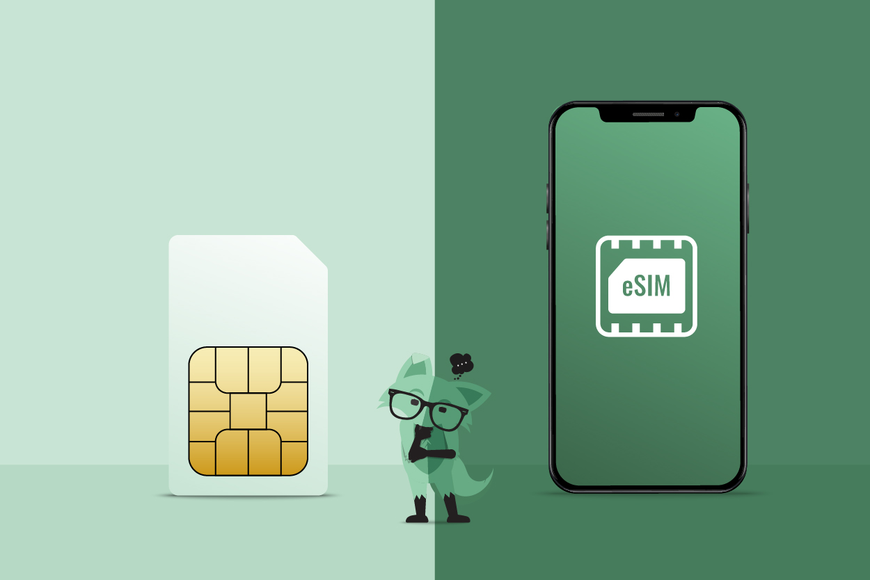 Types of SIM Cards