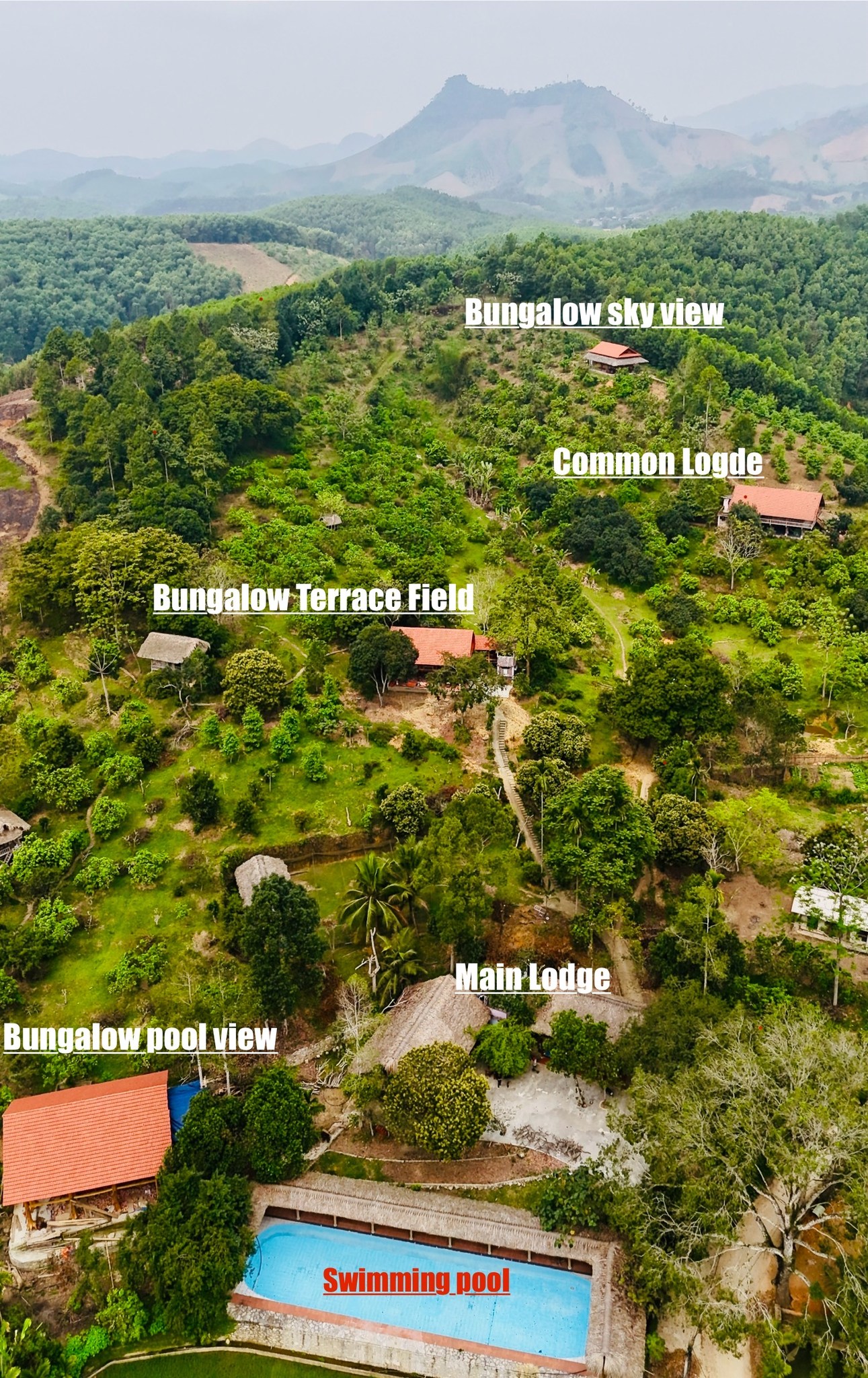 The Future of Organic Farming