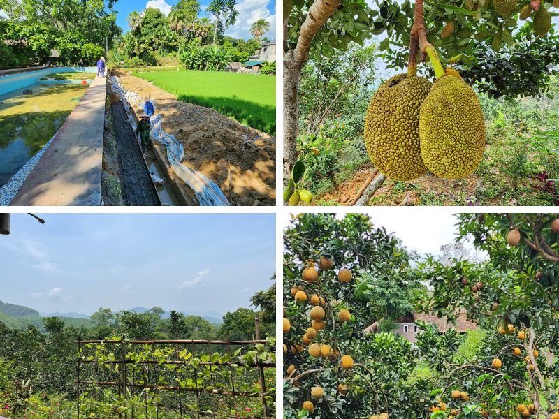 build a stronger ecosystem of organic farming in Vietnam.